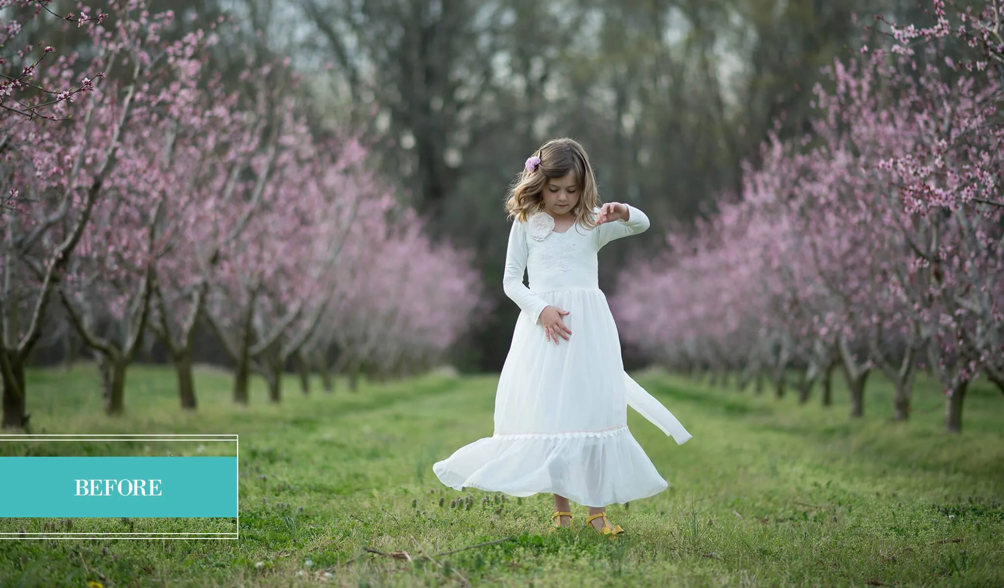 Beloved Limited Edition Millennium Collection - Image 10