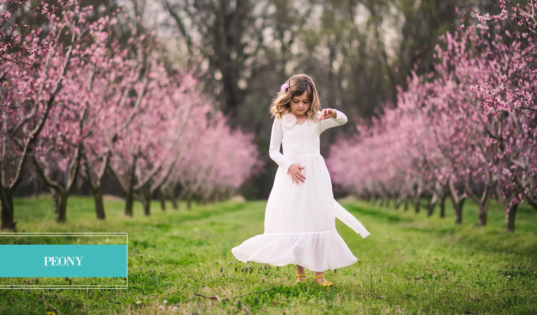 Beloved Limited Edition Millennium Collection - Image 11