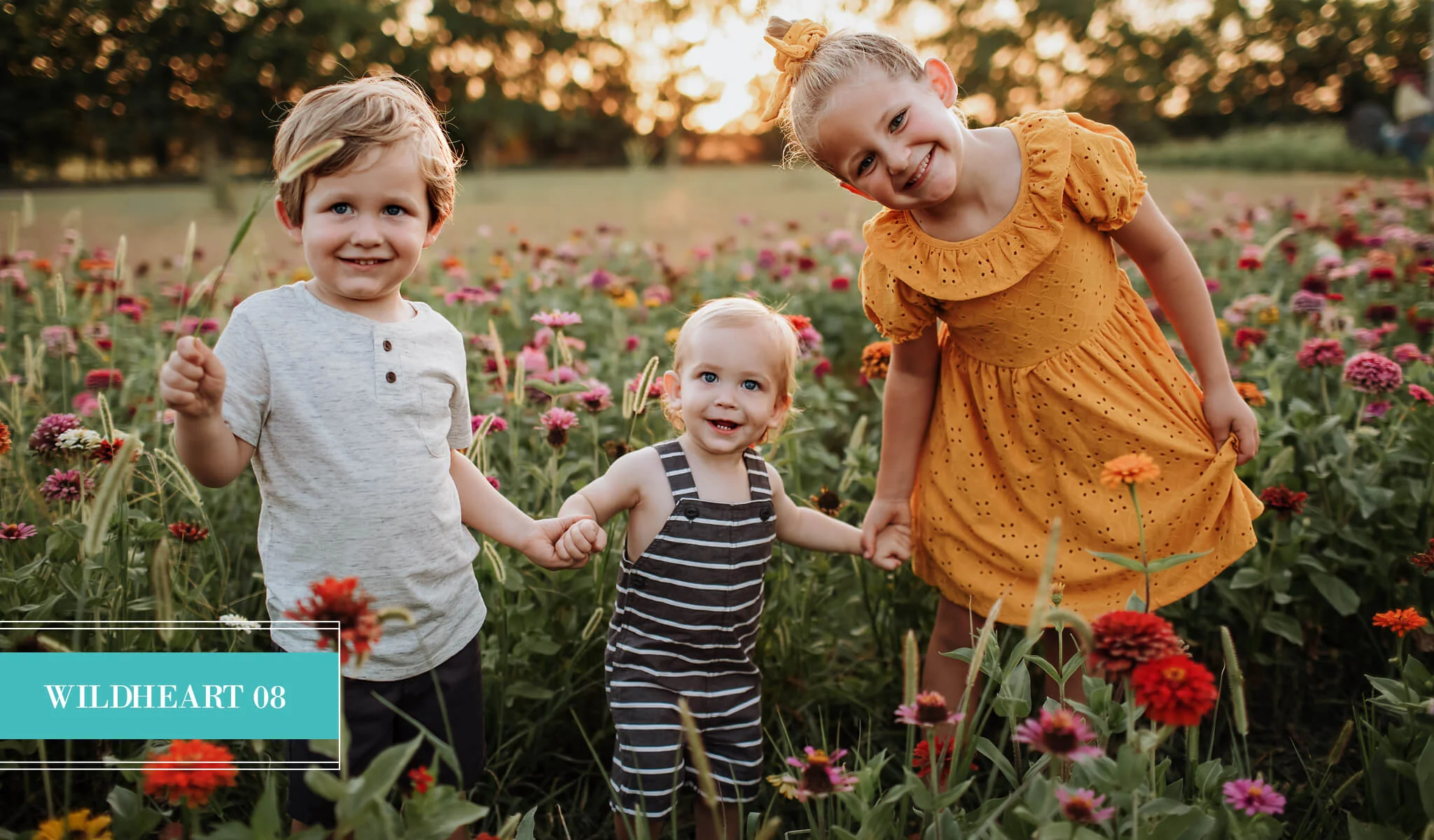 Complete Collection of Pretty Presets for Lightroom - Image 3