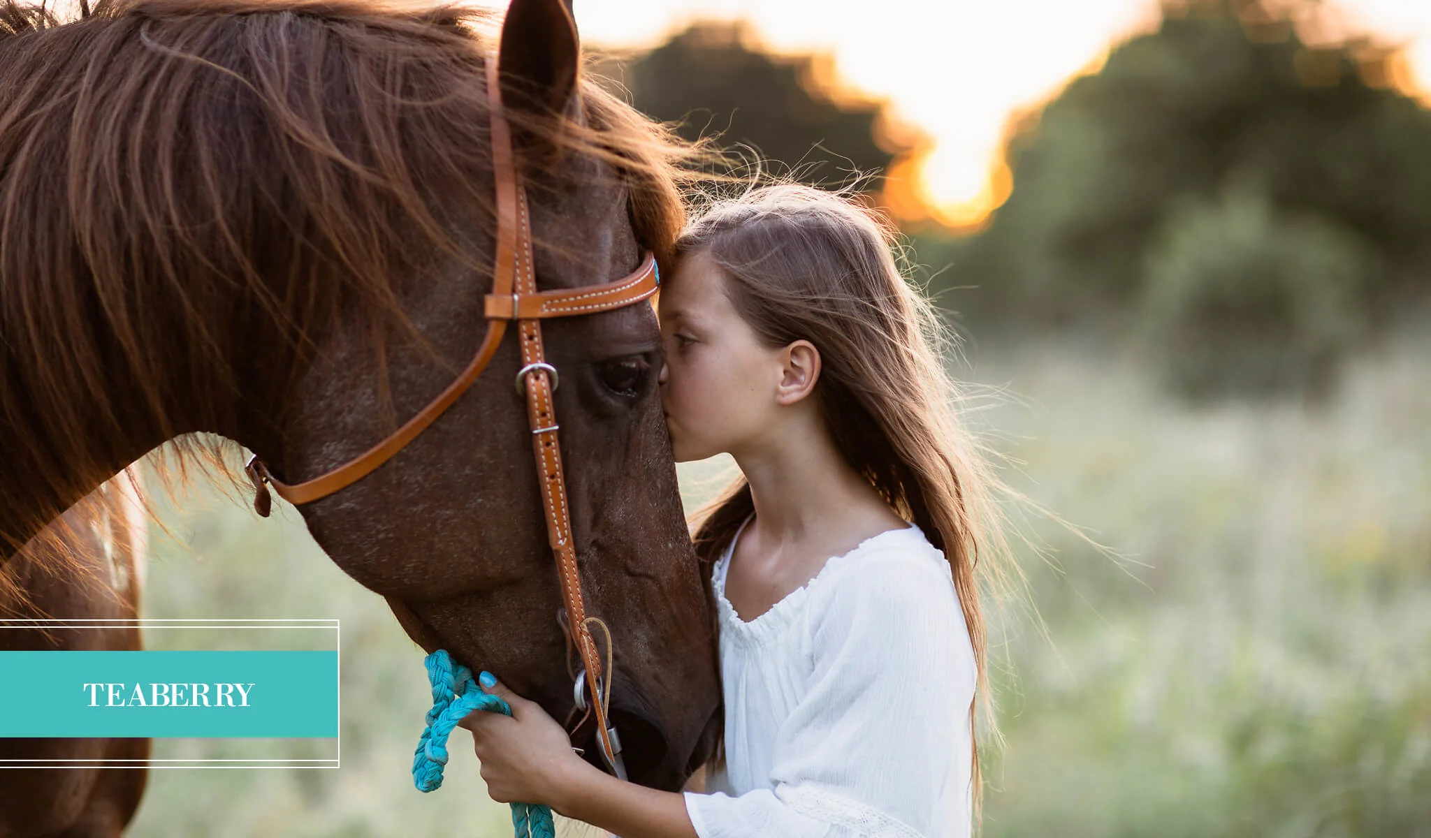 Jubilee Limited Edition Millennium Collection - Image 13