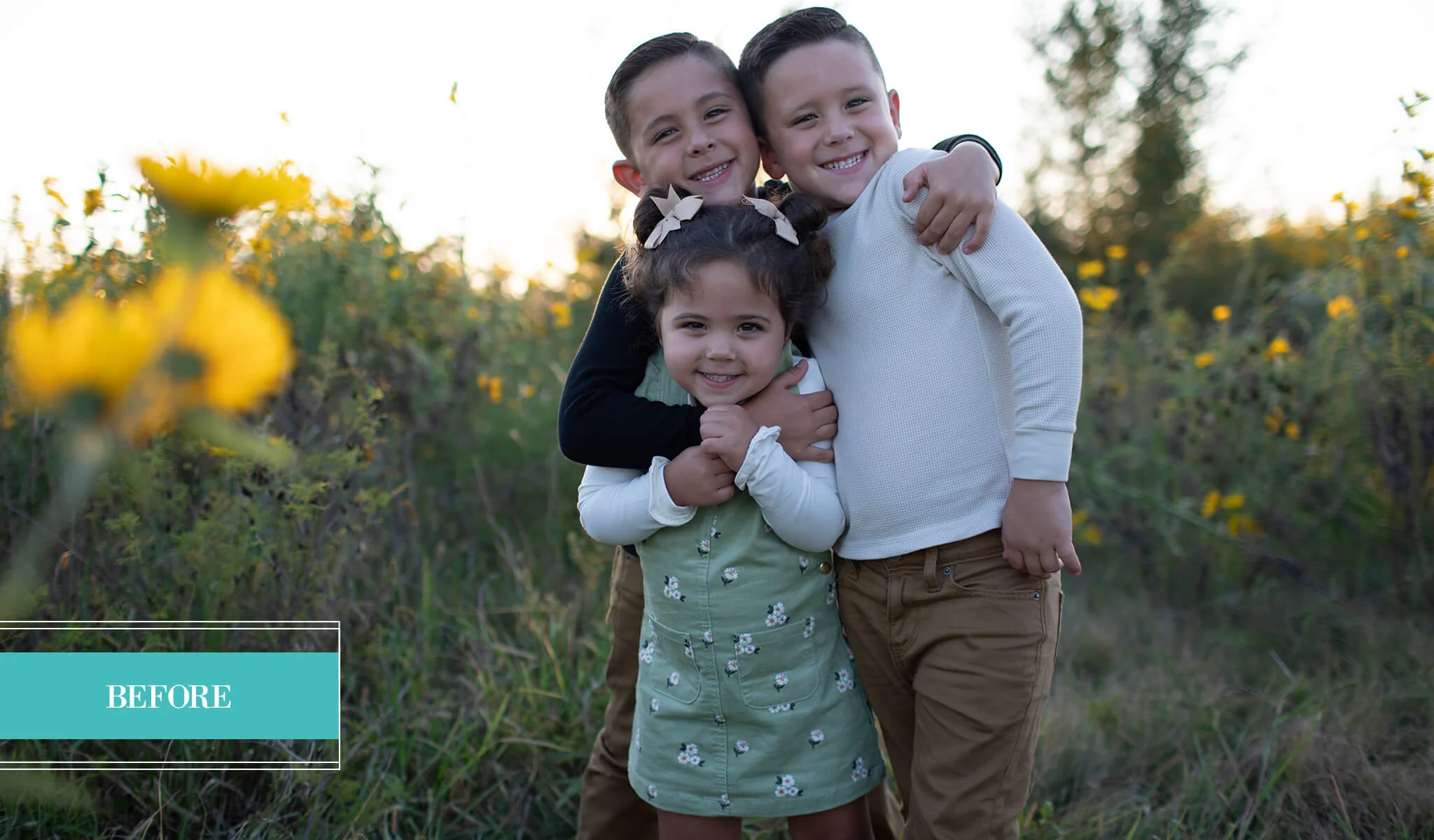 NATURA Evolution AI Preset Collection - Image 8