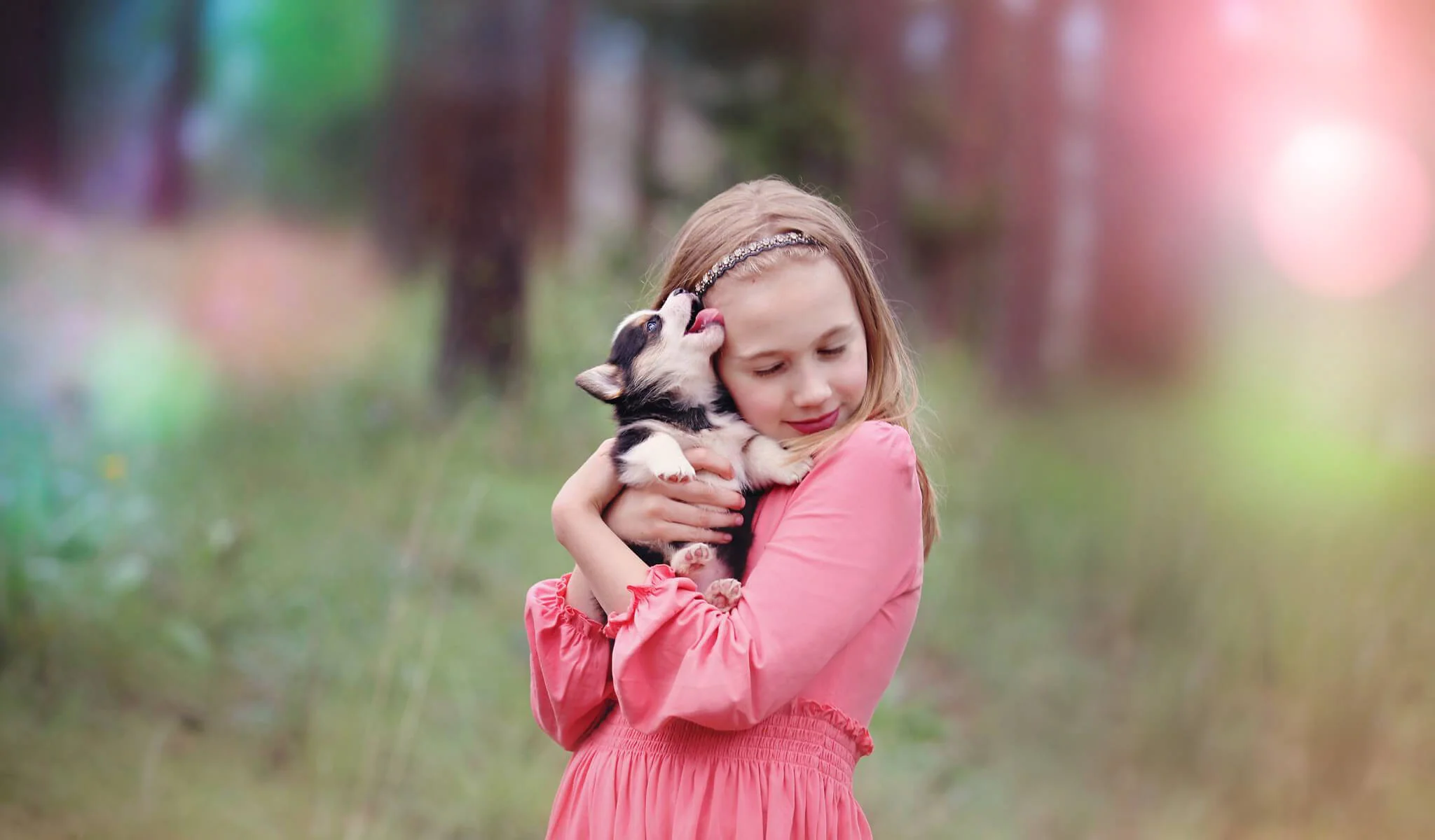 Pretty Bokeh Limited Edition Collection for Lightroom - Image 3