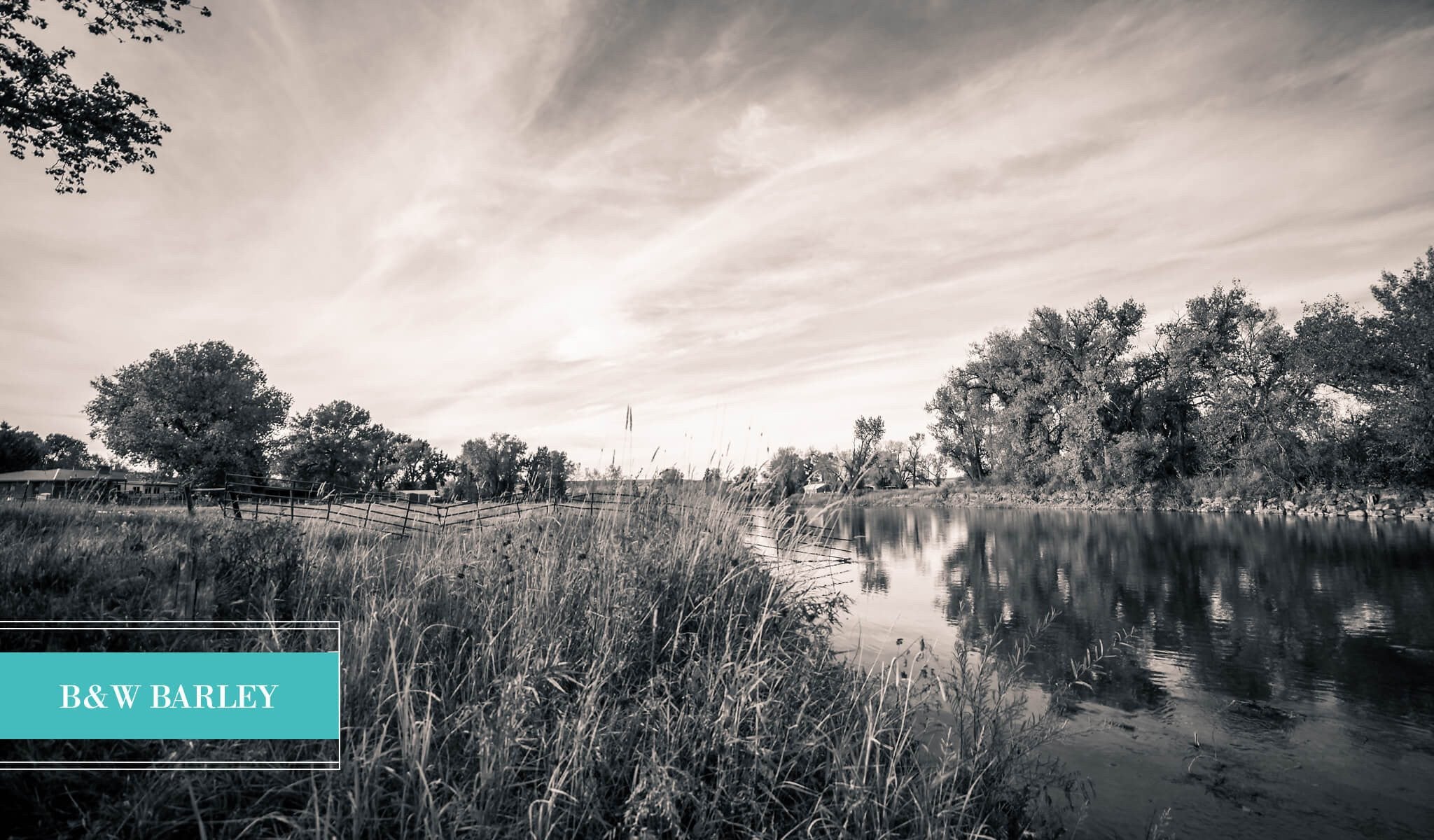 Landscape Preset Collection - Image 4