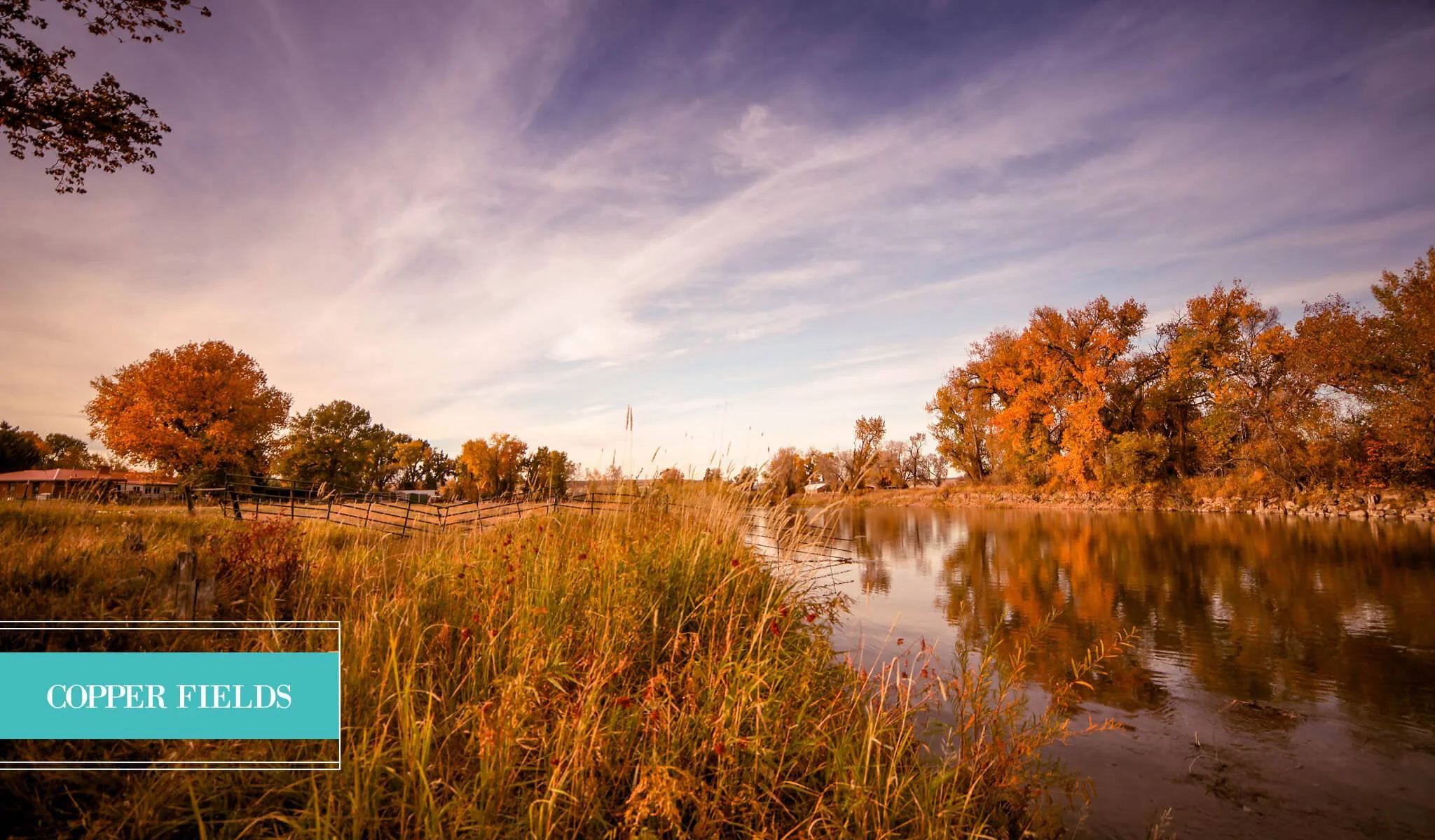 Landscape Preset Collection - Image 5