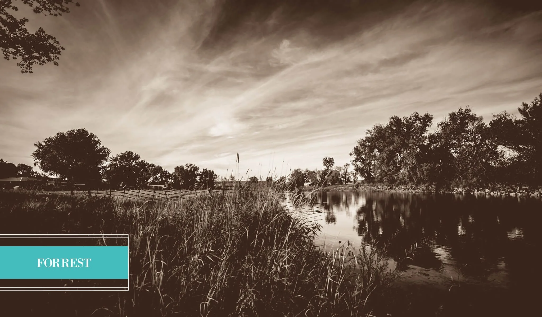 Landscape Preset Collection - Image 6