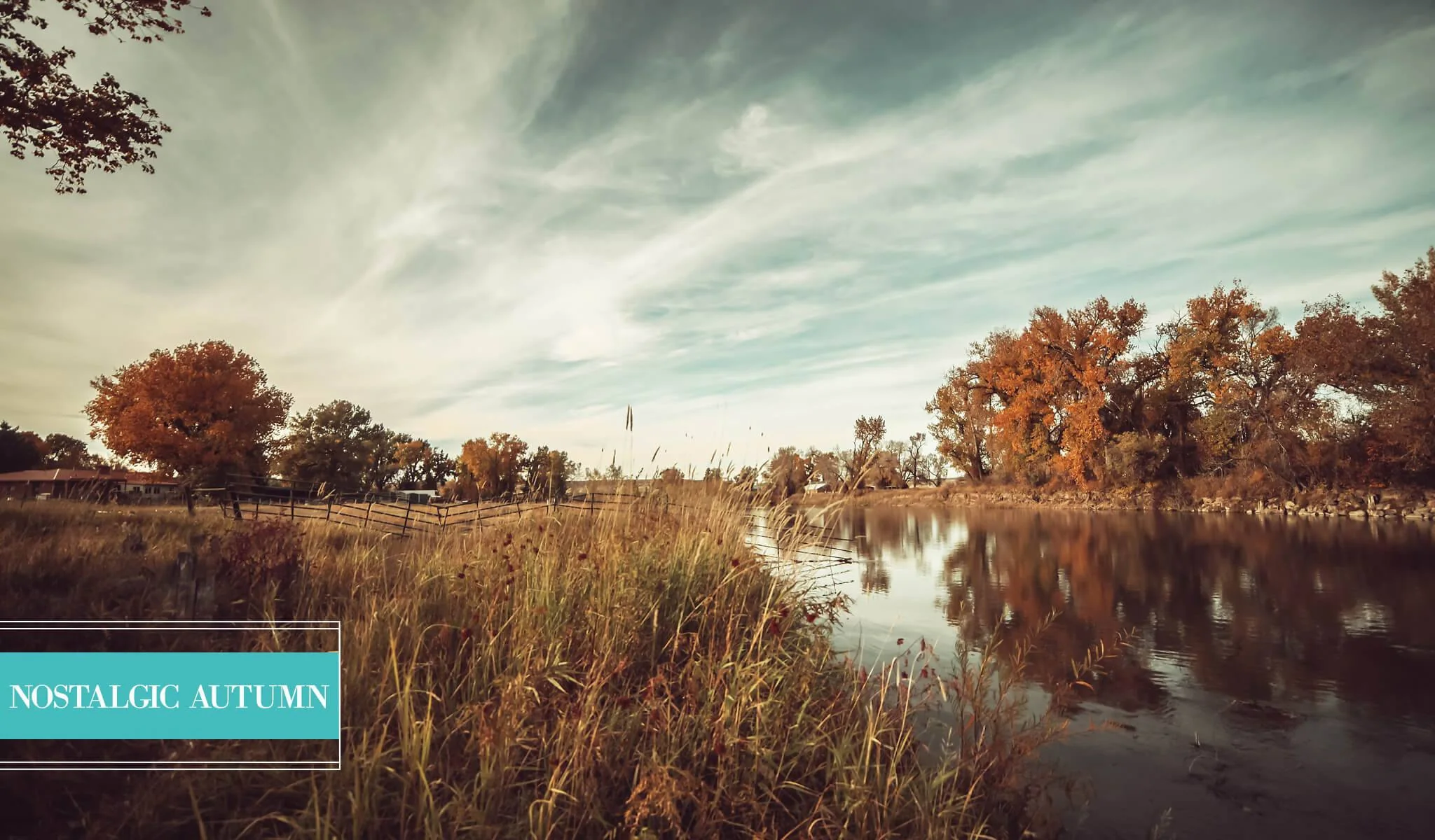 Landscape Preset Collection - Image 7