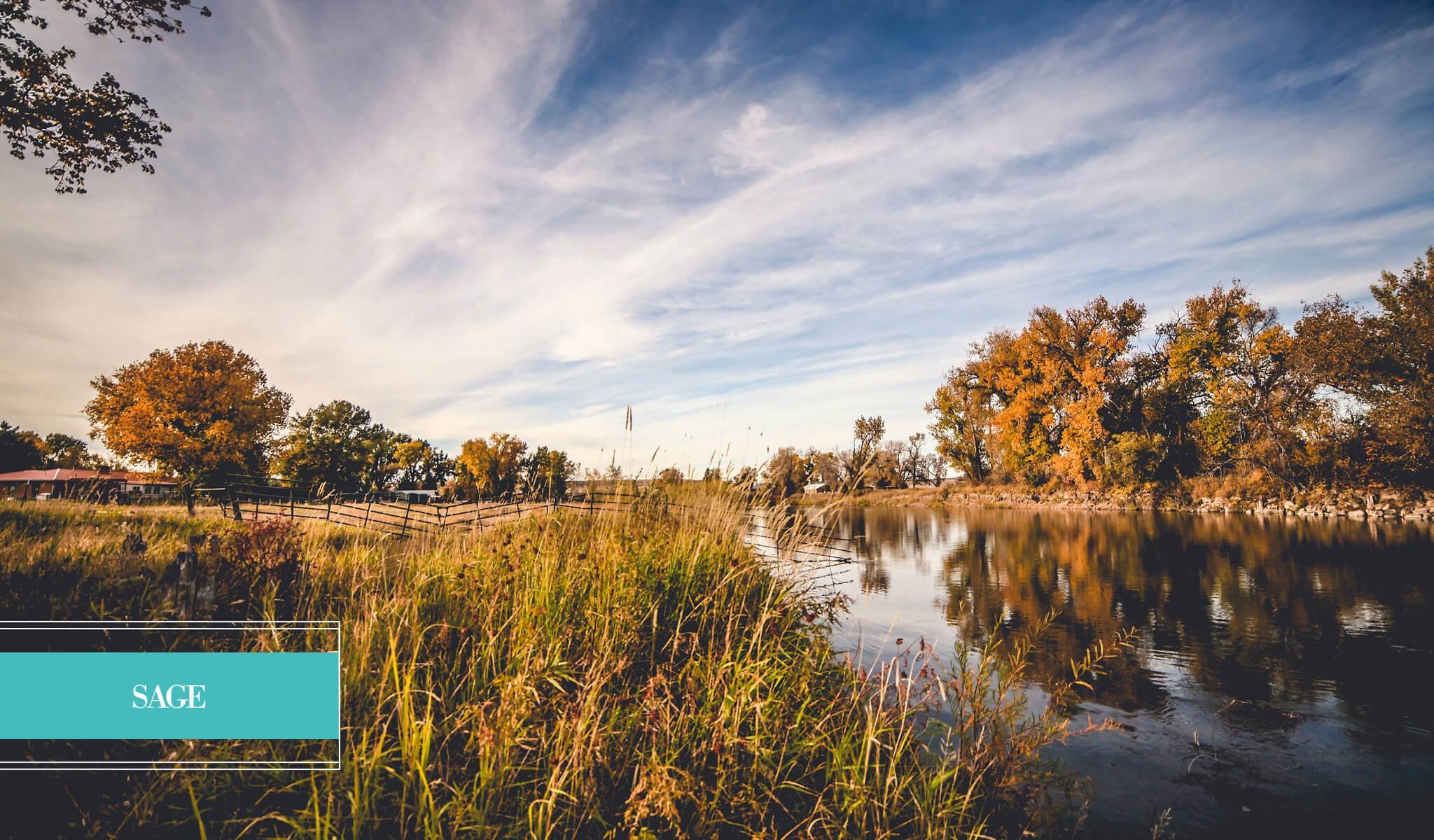 Landscape Preset Collection - Image 8