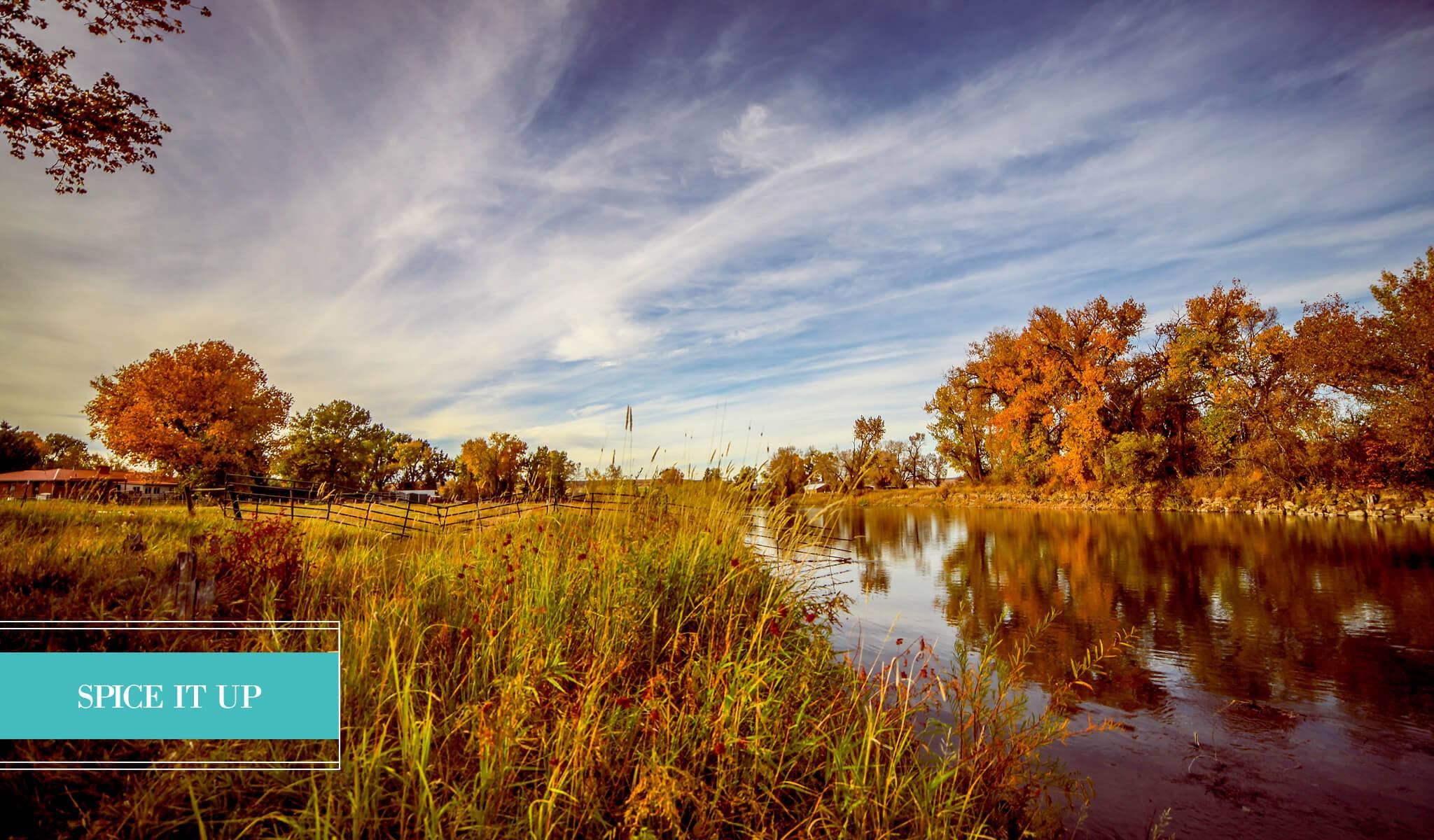 Landscape Preset Collection - Image 9