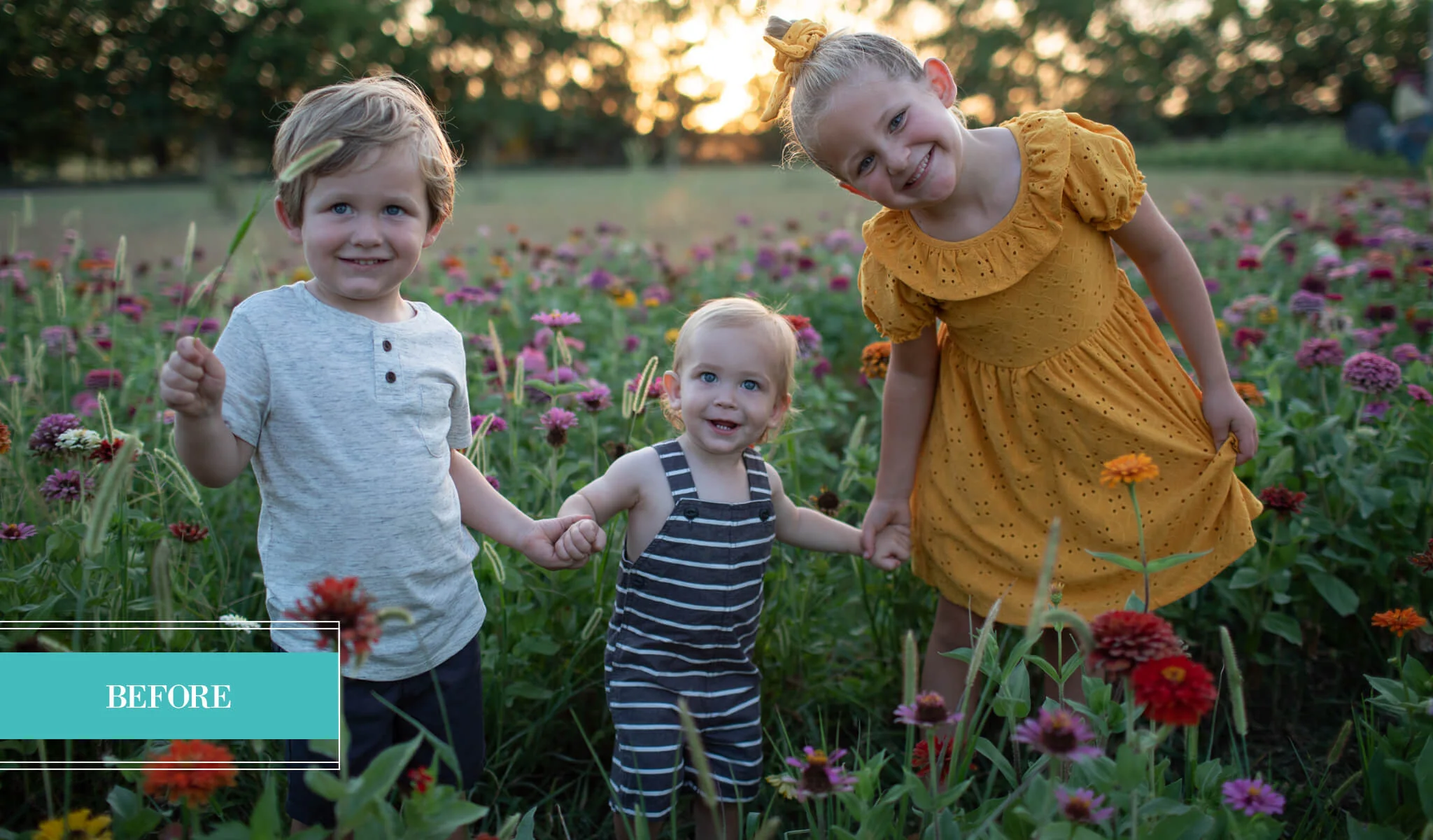 WILDHEART Evolution Preset Collection - Image 12