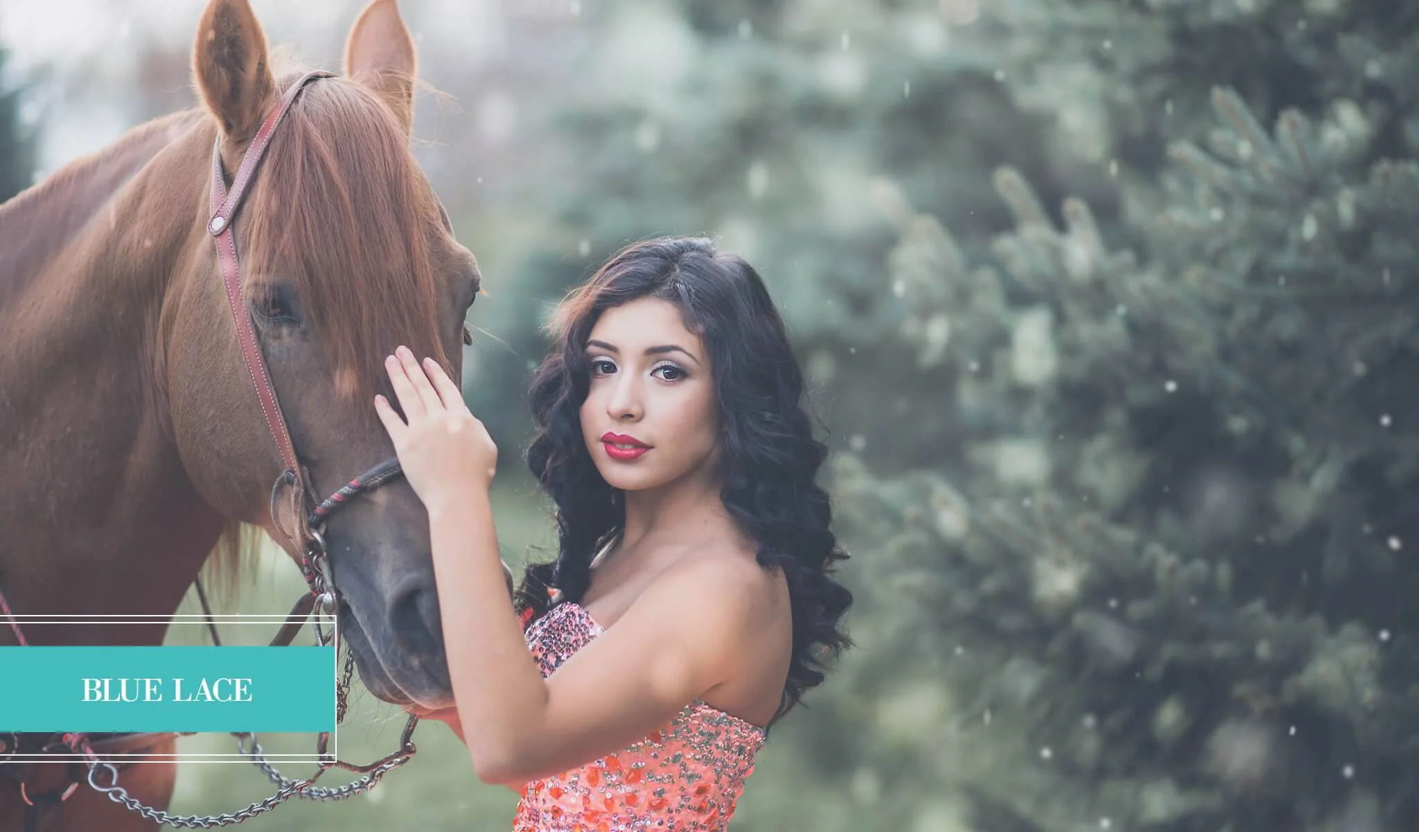 Winter Wonderland Preset Collection - Image 3